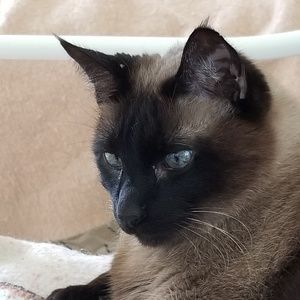 Meet your Posher, Roderick